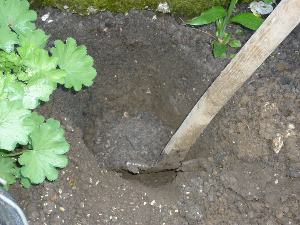 Clematis pflanzen - Boden des Pflanzlochs mit Drainagematerial mischen