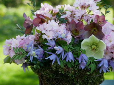 Strauß mit Clematis alpina, Blüten einer Zierkirsche, Helleborus Ice 'n Roses Rose und White