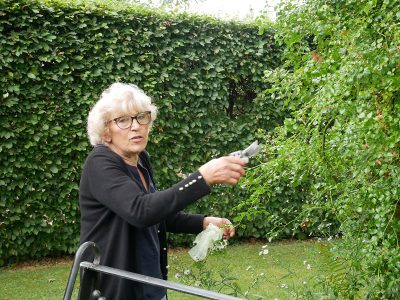 Les Jardins d'Angélique Mme Gloria Lebellegard mit Rose ‘Souvenir d'Angélique’