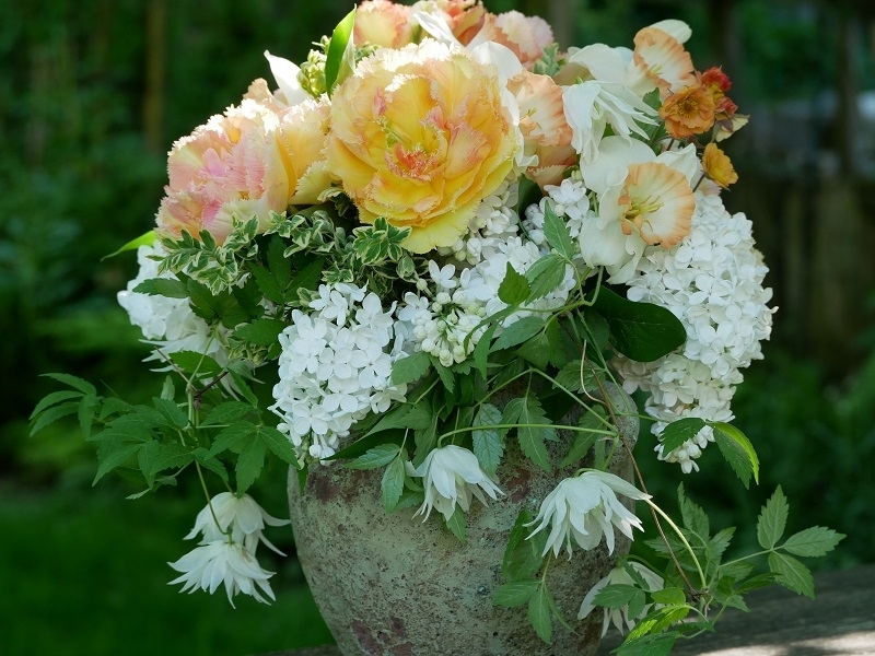 Strauß mit Clematis Albina Plena, weißem Flieder, Tulpe Vaya con Dios, Narzisse Pink Charm und Geum Mai Tai