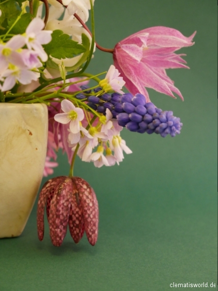 Strauß Clematis macropetala Ballet Skirt, Hyaznthe, Fritillaria meleagris
