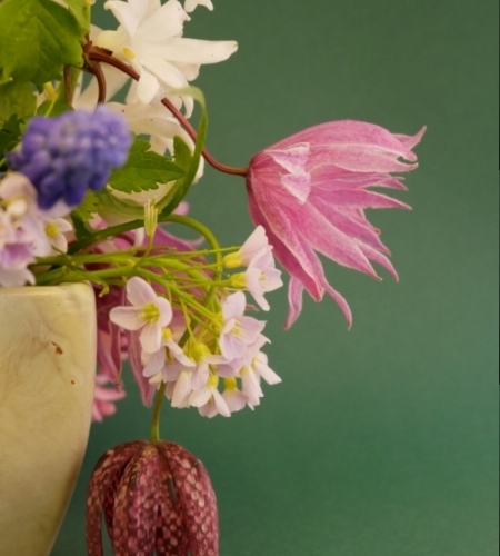 Strauß Clematis macropetala Ballet Skirt, Hyaznthe, Fritillaria meleagris