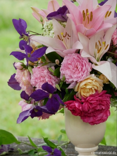 Clematis Hybride Jackmanii, Lilie Pigalle und diverse Rosen