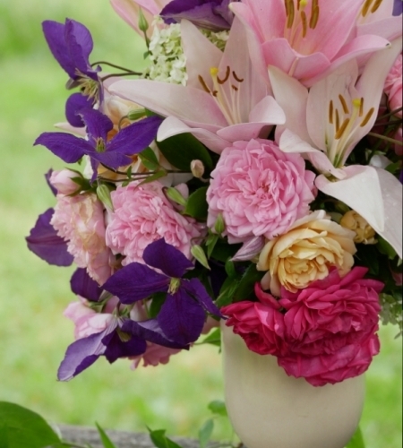 Clematis Hybride Jackmanii, Lilie Pigalle und diverse Rosen