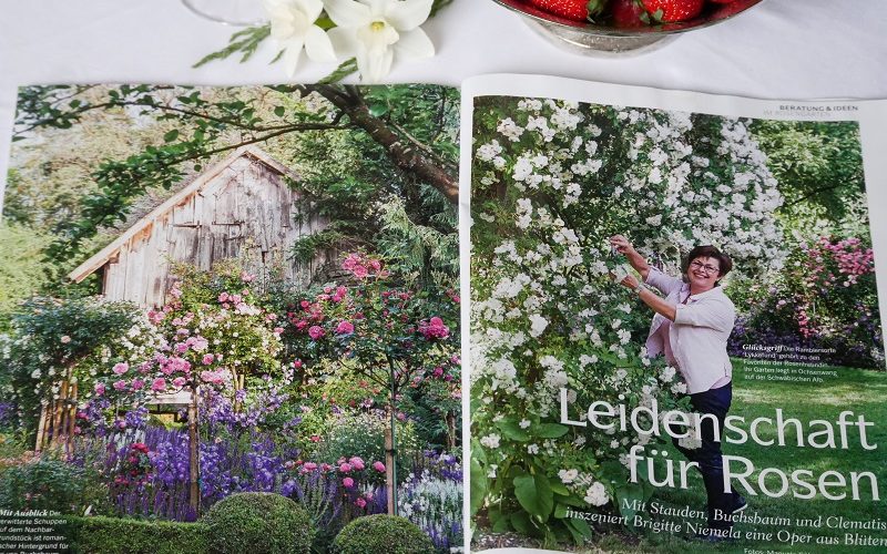 Der Garten von Brigitte Niemela in der Zeitschrift "Zuhause Wohnen" vom Juni 2018
