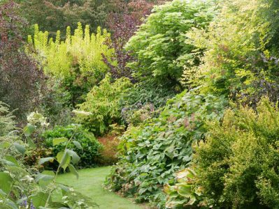 Le Jardin de Valérianes - Blattformen und -farben im asiatischen Garten