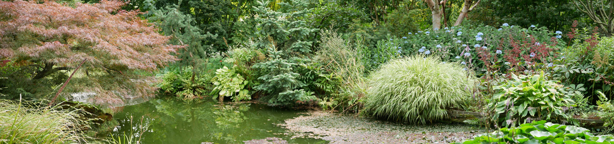 Le Jardin de Valérianes - Teich im asiatischen Gartenteil