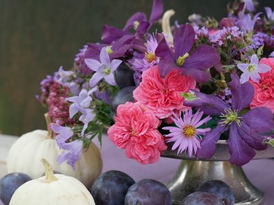 Clematis Etoile Violette in einem herbstlichen Strauß